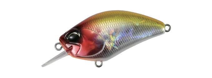 DUO REALIS, Duo Realis Crank 55SR Kabuki