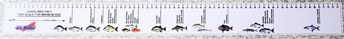 WET Sports, Fish Measurement Sticker