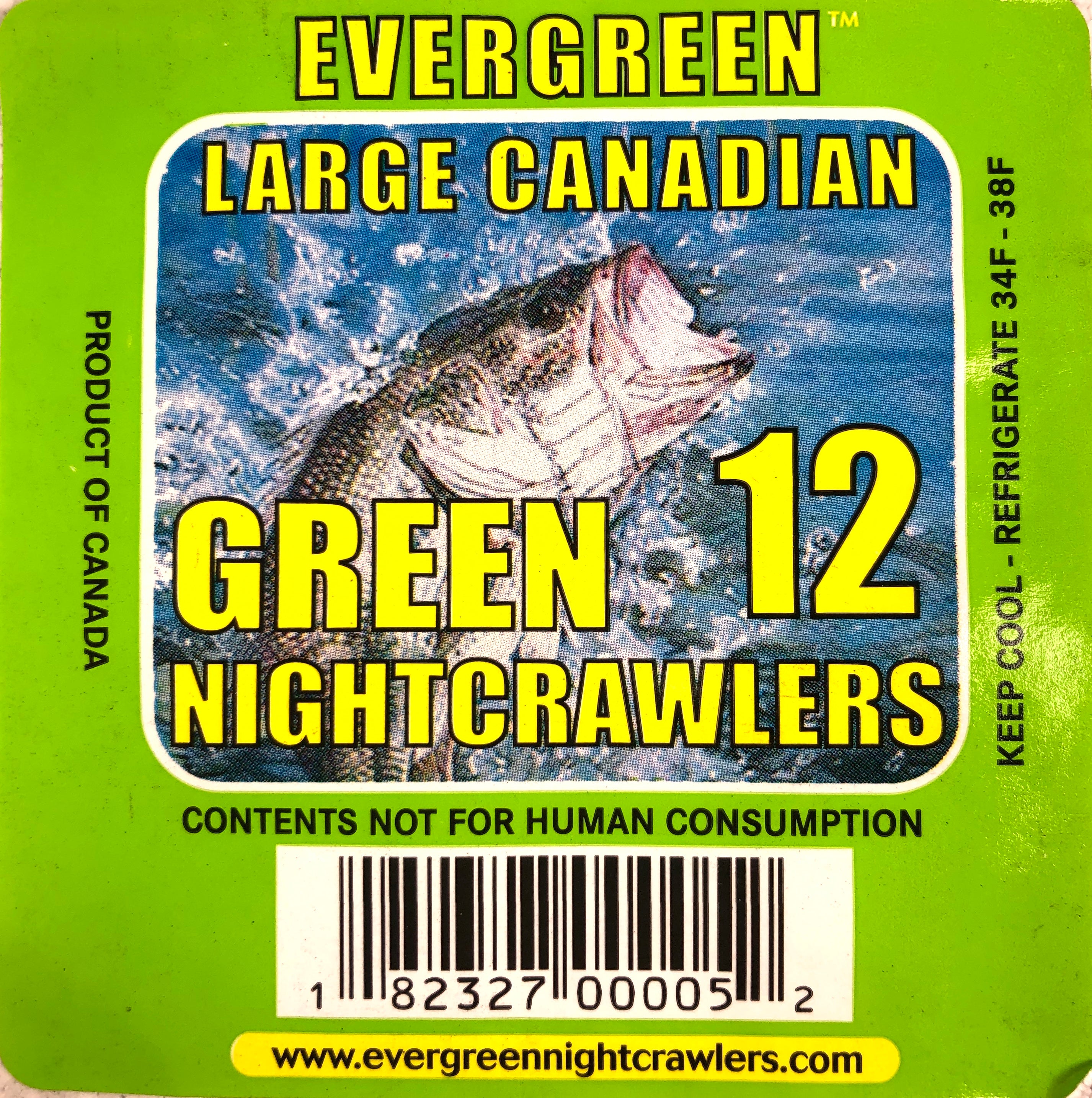 BAIT, Green Worms (1 Dozen)