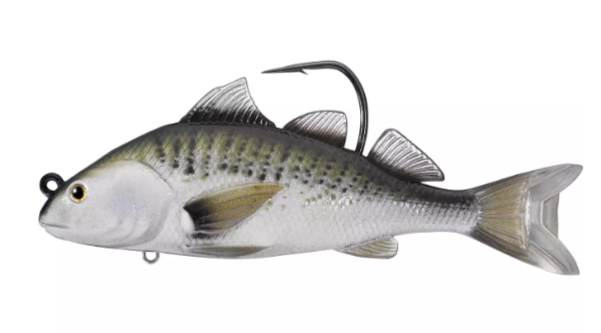 LIVETARGET, Live Target Croaker Swimbait