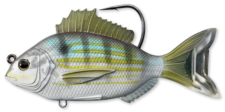 LIVETARGET, Live Target PinFish