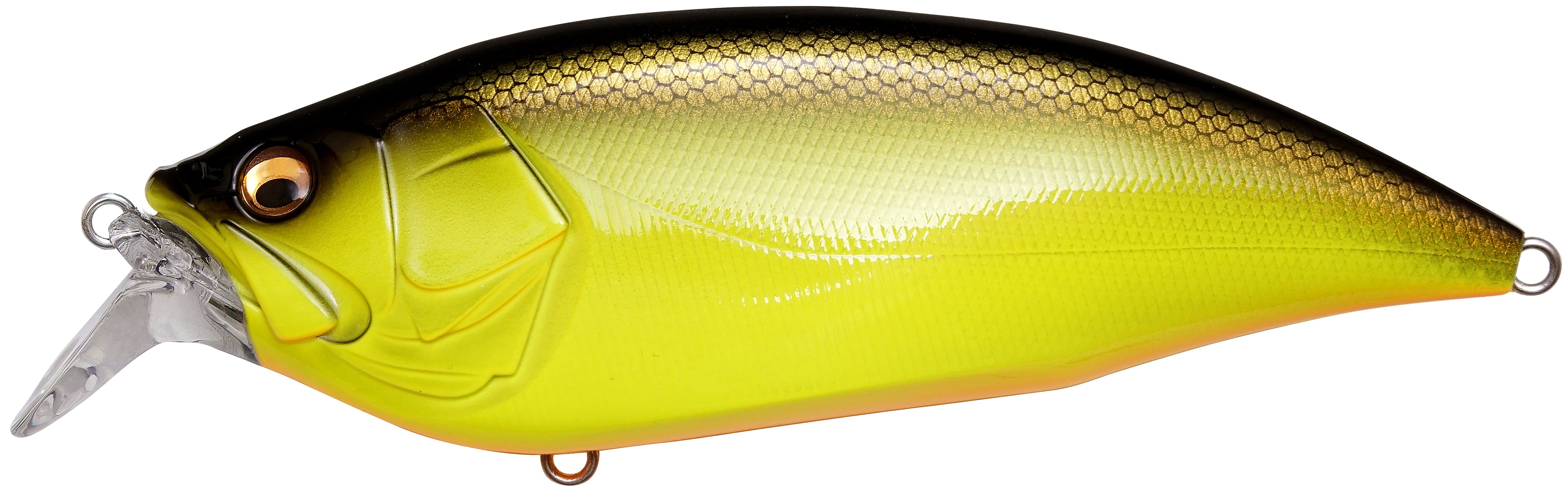 MEGABASS, Megabass Big-M 2.0