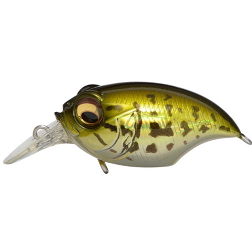 MEGABASS, Megabass SR-X Griffon