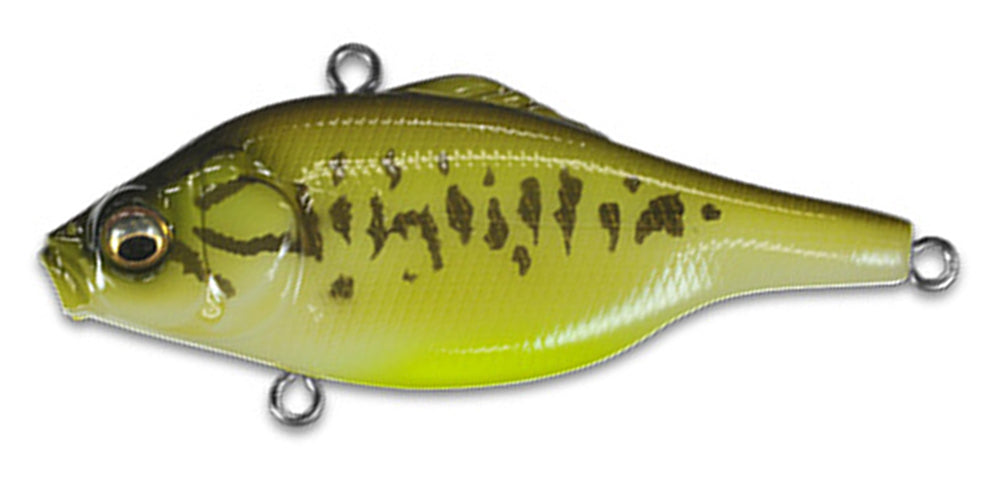 MEGABASS, Megabass Vibration-X Smatra Bone Knocker