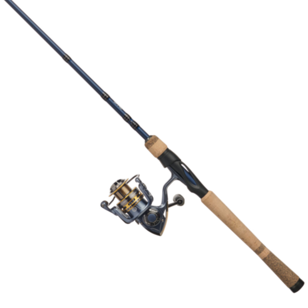 PFLUEGER, Pflueger President Spinning Combo