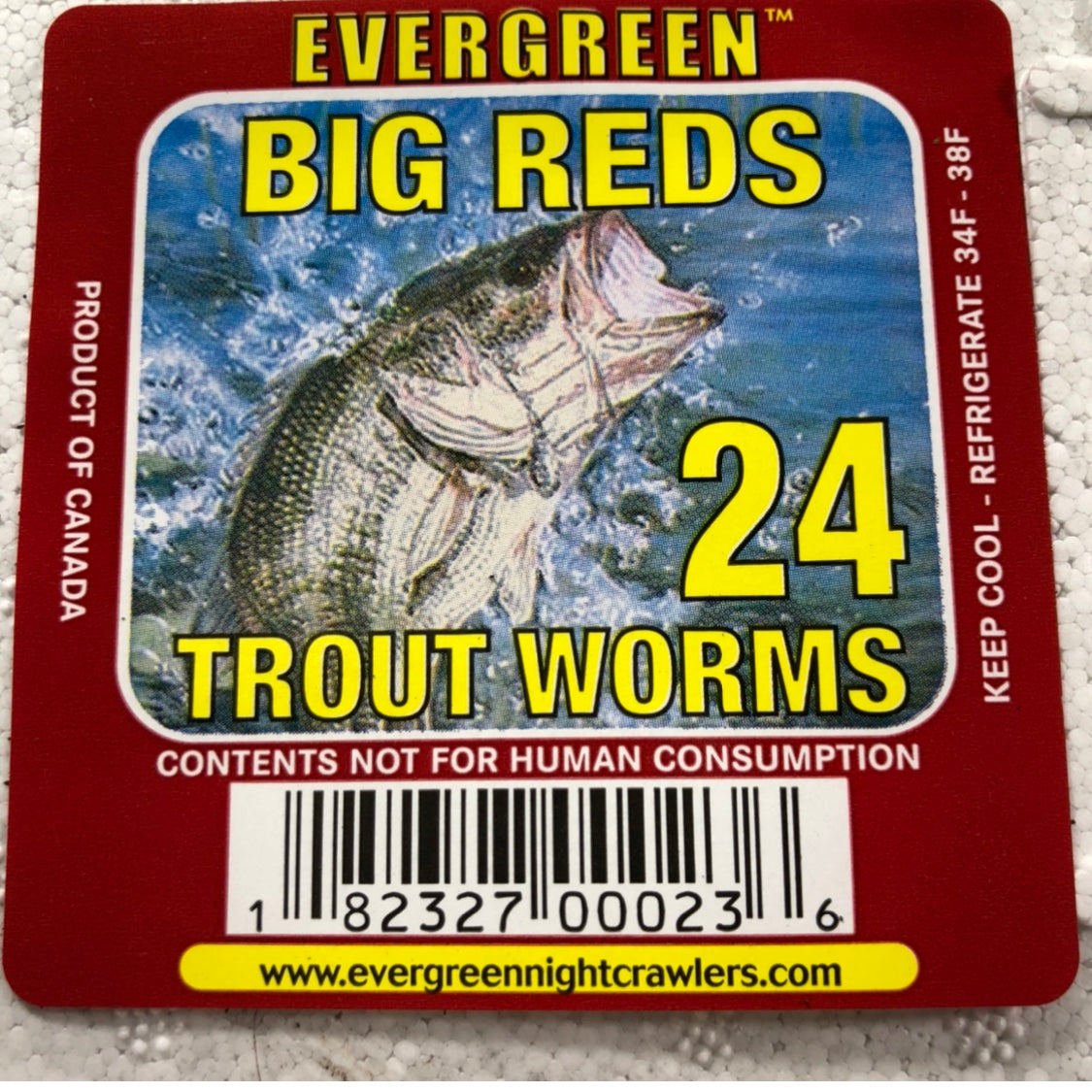 BAIT, Red Wiggler Trout Worms (24 Pack)