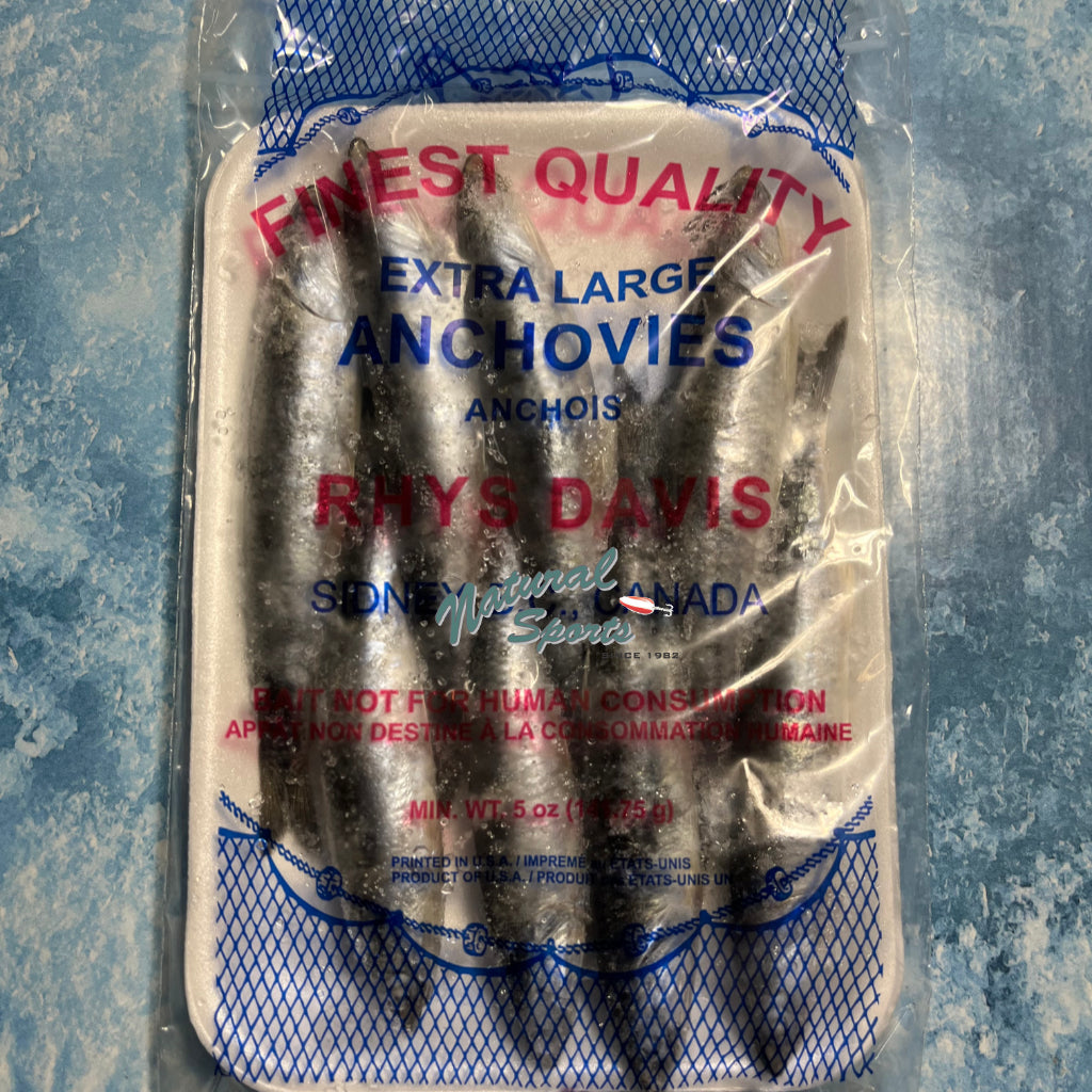 RHYS DAVIS, Rhys Davis Extra Large Anchovies