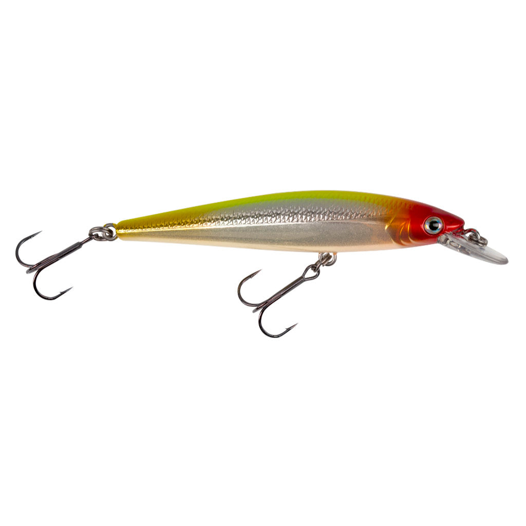 STRIKE KING, Strike King KVD 100 Jerkbait