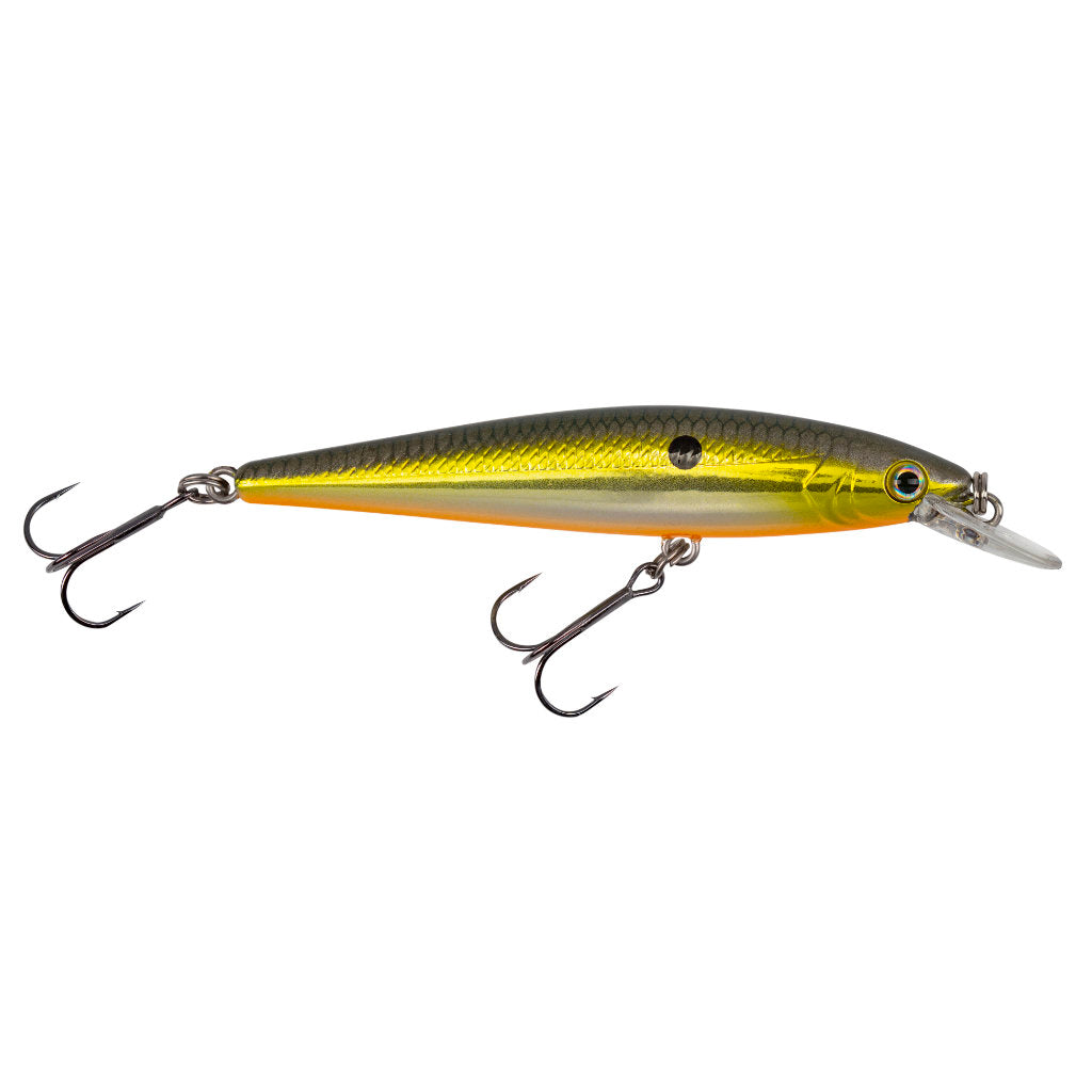 STRIKE KING, Strike King KVD 100 Jerkbait